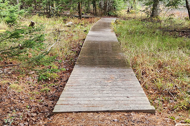 There is a small lip where the gravel path meets a wooden boardwalk without guard rails. 