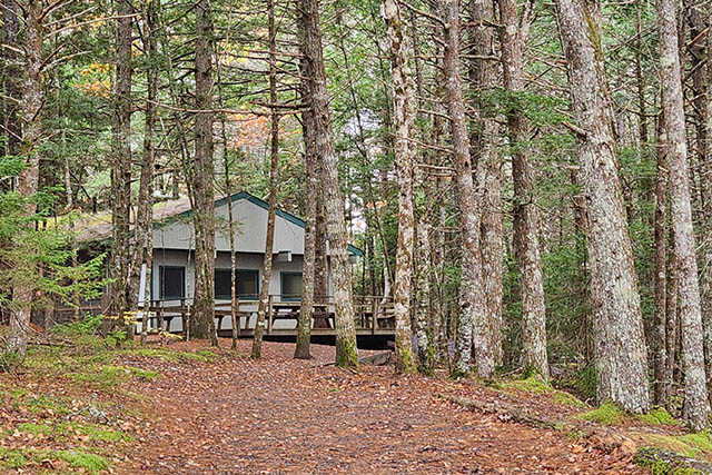A gravel and aggregate path leads up to the picnic shelter in the forest.
