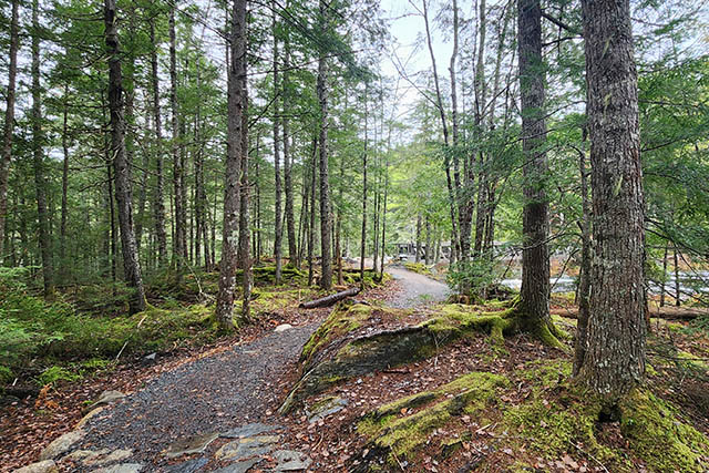 A small part of the trail passes over an area of flat rocks on a small rising slope.