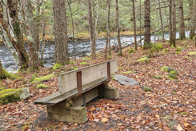 A bench with a back rest in a clearing with a view of the river.
