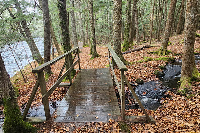 There is a small lip where the gravel/aggregate trail meets a small wooden bridge with wooden guard rails.