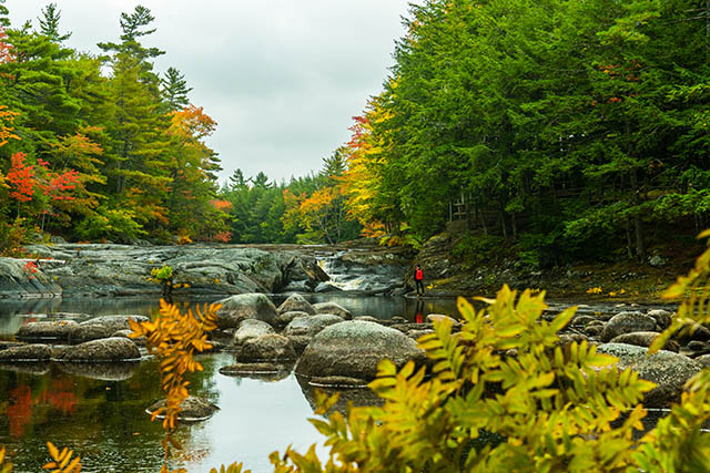 The river is calm downstream from the falls.