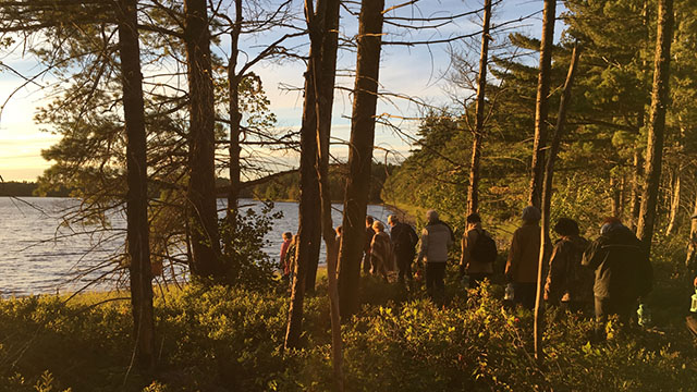 A line of people walking along a trail through the forest along the shore.