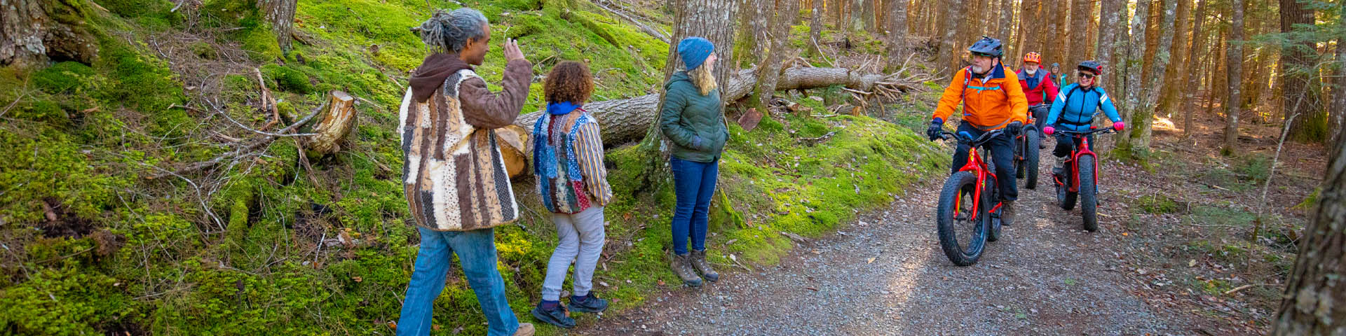 Mill Falls Trail