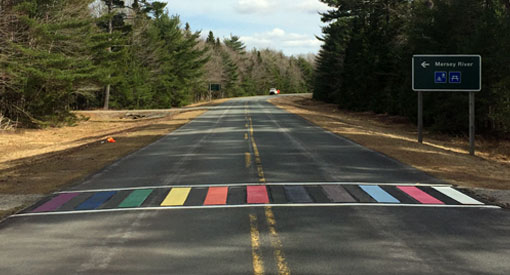 Photo showing a crosswalk with purple, blue, green, yellow, orange, red, black, brown, light blue, pink, and white bars with two outer white lines running the length of the crosswalk.