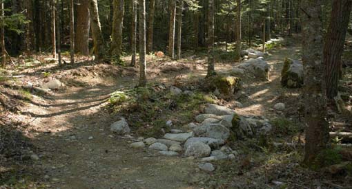 Photo showing a natural feature which is two boulders with a gap between them, creating a narrow trail for users to pass through.