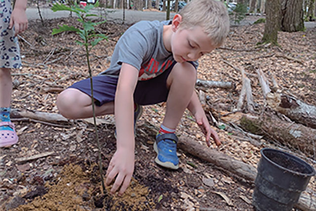 A child holds a tree sapling.