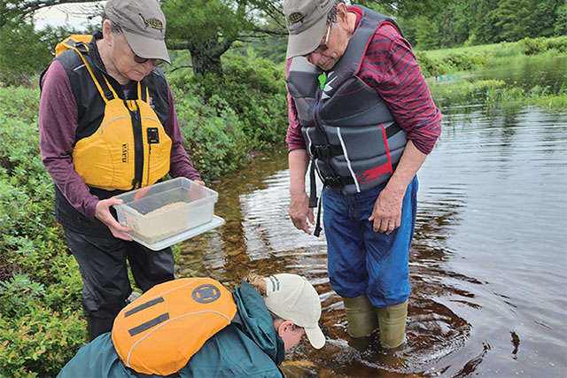 Two people wearing life jackets standing in water.