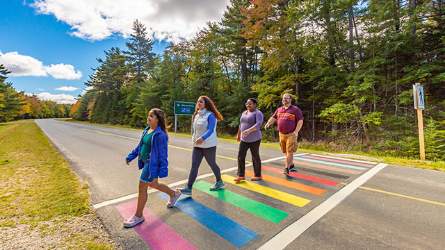 Quatre personnes traversent le passage piéton arc-en-ciel.