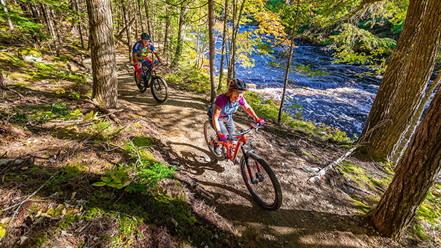 Deux personnes à vélo dans la forêt.