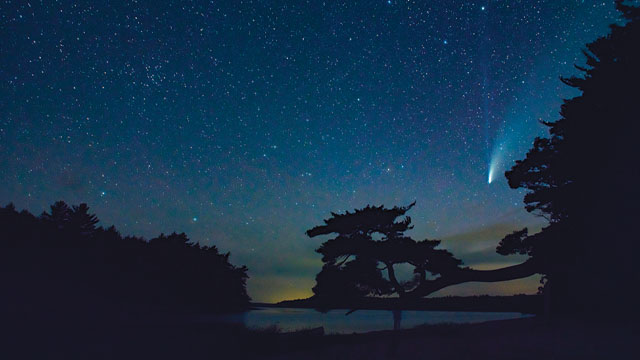 Un ciel plein d'étoiles.