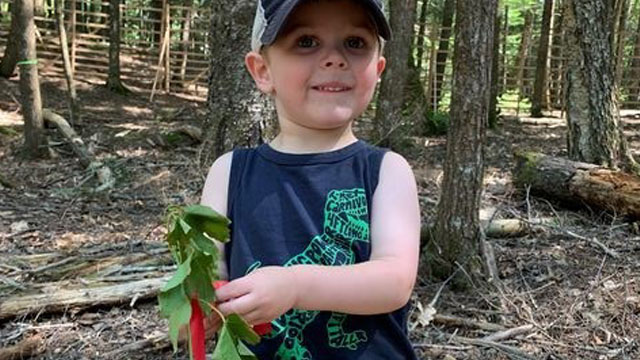 Un enfant tient un jeune arbre.