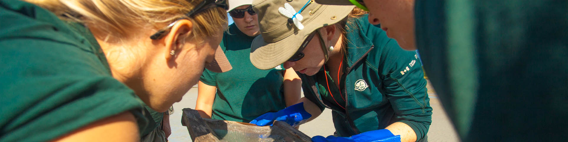 A team of Parks Canada staff