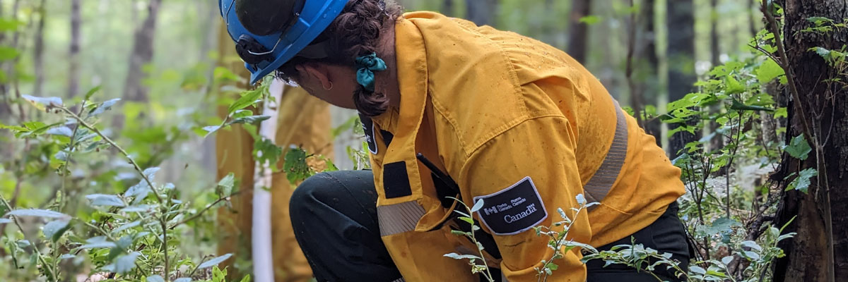Parks Canada fire team member, dressed in yellow, guides a hose to their colleague.