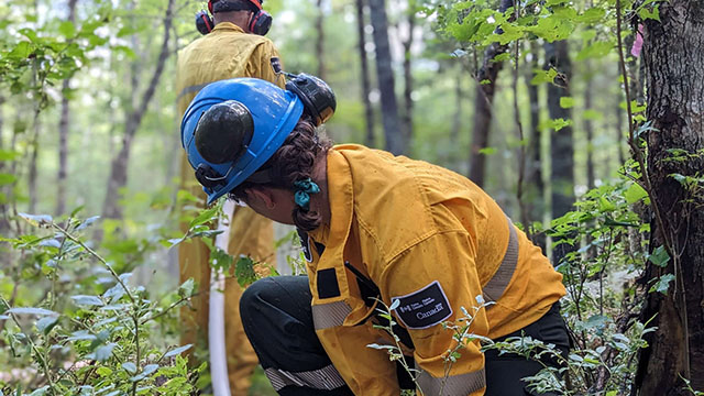 Two firefighters in uniform in a forest, one crouching and the other holding a hose.