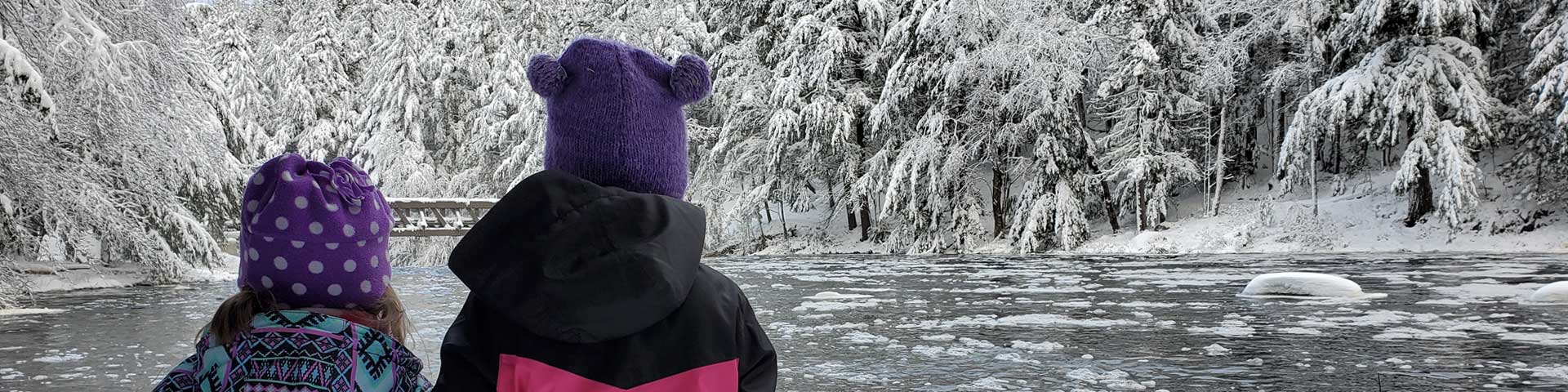  Une vue sur le lac et les arbres couverts de neige.