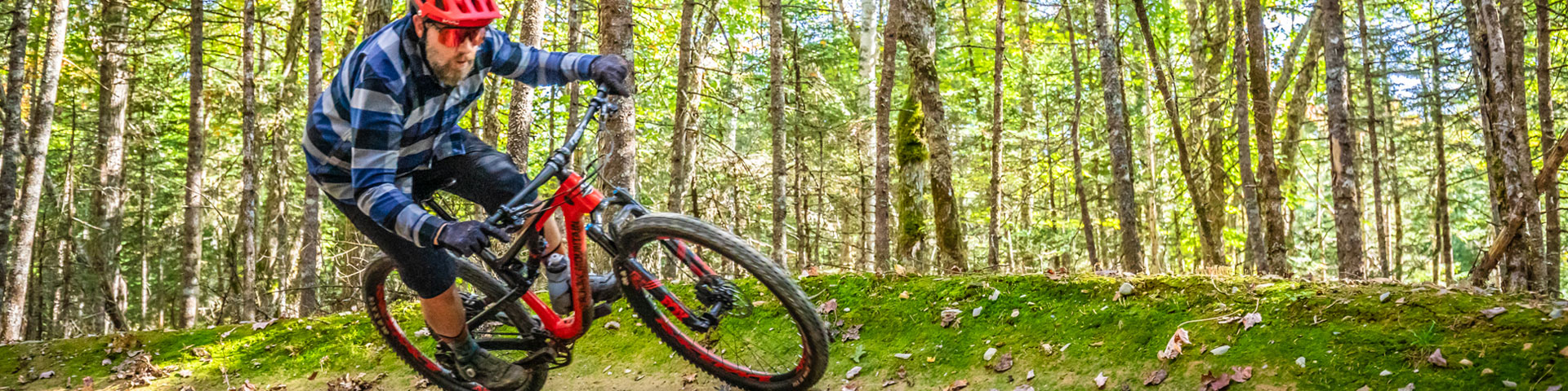 Un cycliste roule sur une butte dans la forêt.