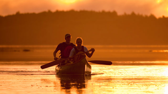 A couple paddling into the sunset.