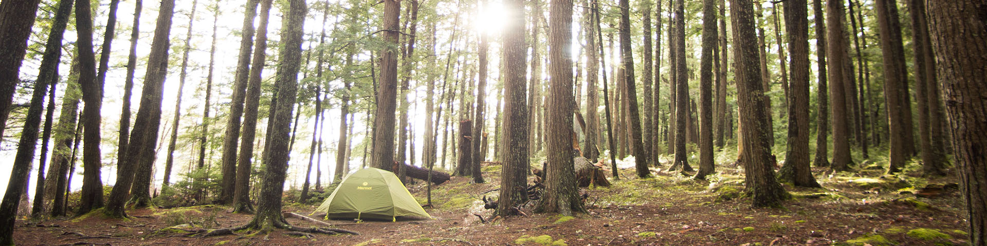 Tent in Hemlock forest at Kejimkujik