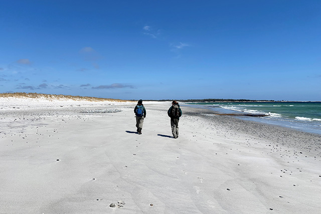 Two Parks Canada employees walk a white-sand beach at Kejimkujik Seaside to look for piping plovers.