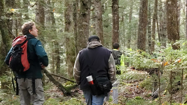 Parks Canada staff walk through a forest