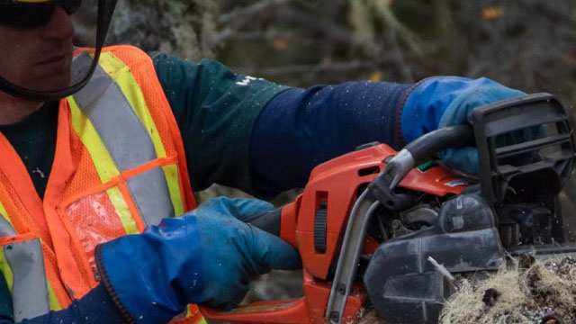 Parks Canada staff with a chainsaw