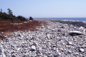 Cobble beach