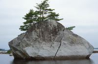 Erratic in Kejimkujik Lake