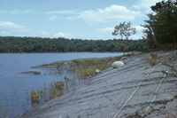 Slate bedrock