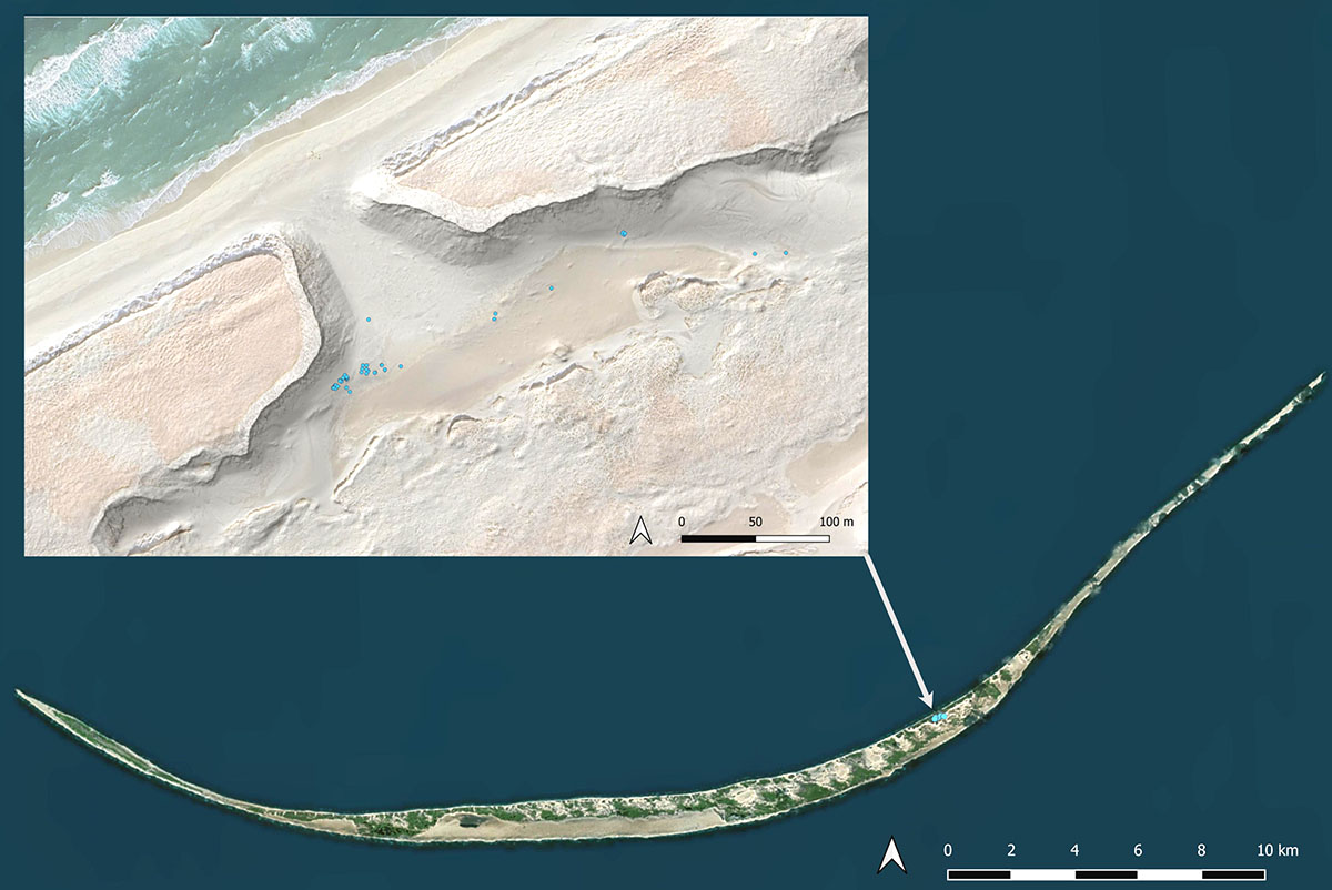 A composite photo showing the location of artifacts on the dig site and the location of the dig site on the North Beach. 