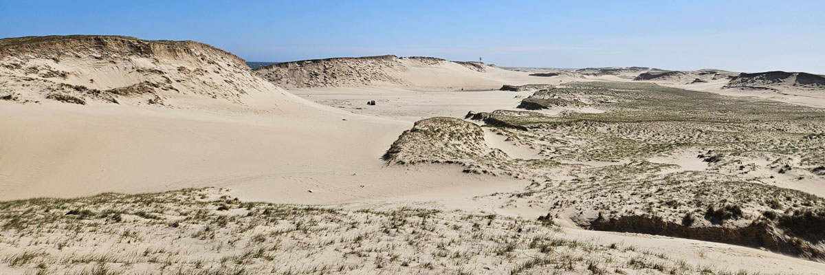 The dig site is a smooth area of sand next to a large sand dune.