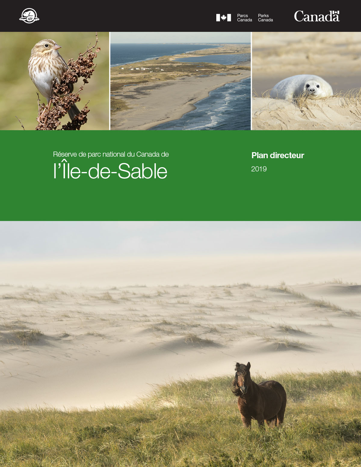  Cinq images: un petit oiseau. Une plage étroite. Un phoque blanc Un cheval sauvage Un rectangle vert avec du texte blanc qui dit PLAN DIRECTEUR DE LA RÉSERVE DE PARC NATIONAL DU CANADA DE L’ÎLE-DE-SABLE, 2019.