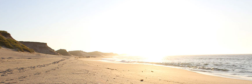 Réserve de parc national de l'Île-de-Sable. 