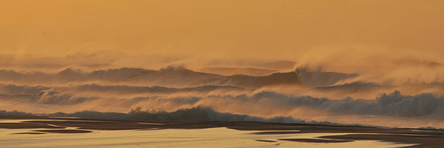 Réserve de parc national de l'Île-de-Sable. 