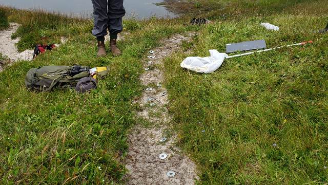 A person next to a pond with nets, notebooks, and other research tools.