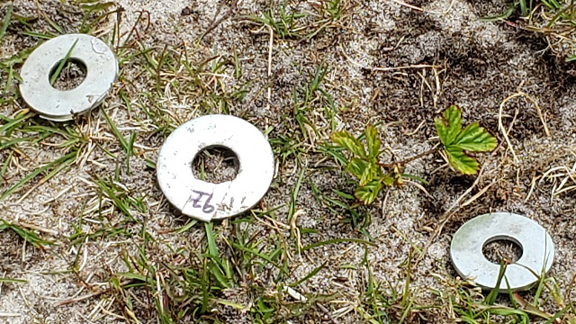 Small metal rings laid over top of bee holes in the sand.