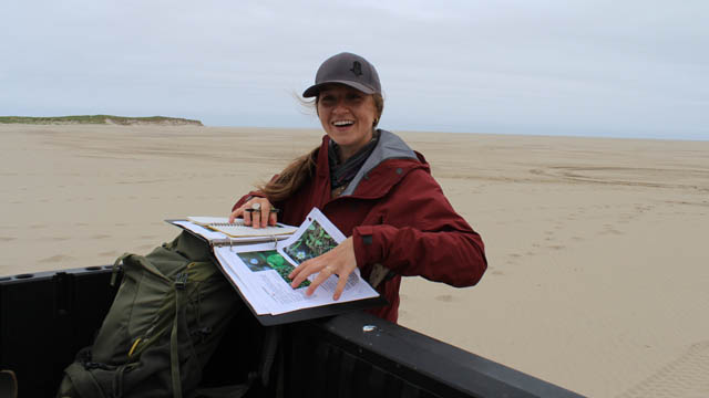 A person working in a book on the beach.