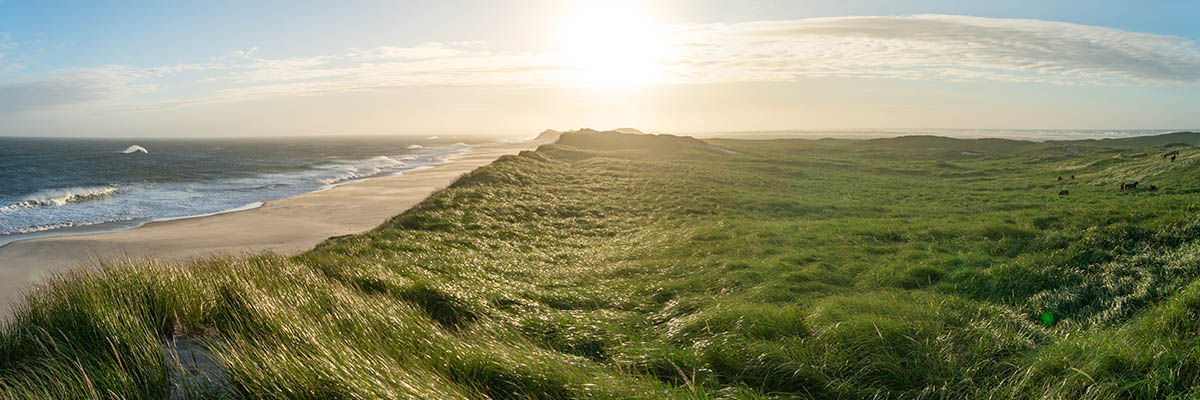 Bright sunrise over ocean waves crashing on the beach next to a grass covered sand dune.