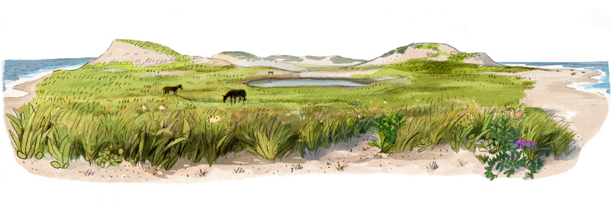 Une peinture de chevaux dans le paysage.