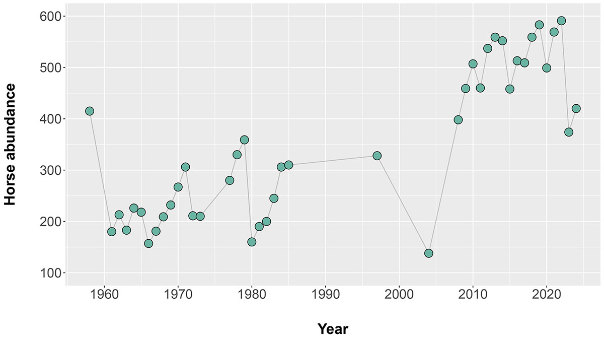 Sable Island horse population, 1961 to 2024