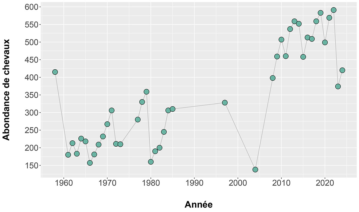 Population des chevaux de l’île de Sable, 1961 à 2024