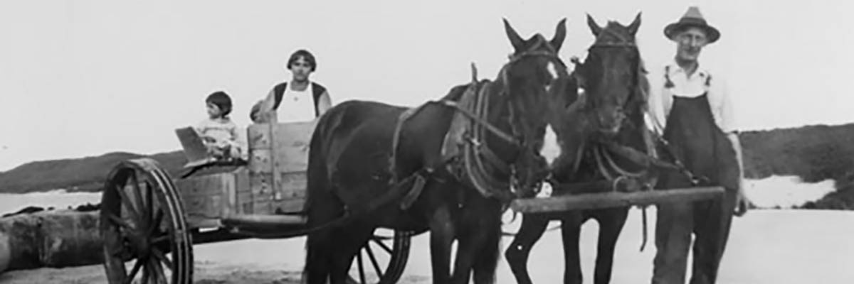 Two horses pull family in a wooden wagon.
