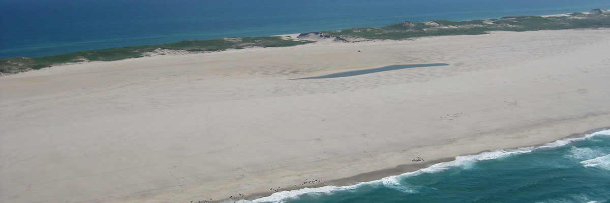 The lake is a thin sliver of water surrounded by sand next to a long dune.