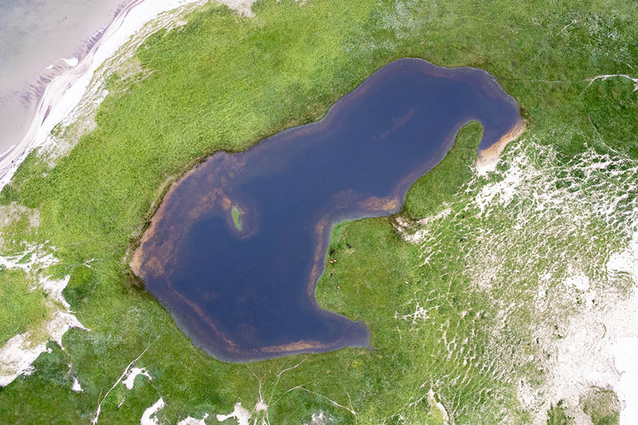 An aerial view of a freshwater pond surrounded by green vegetation.