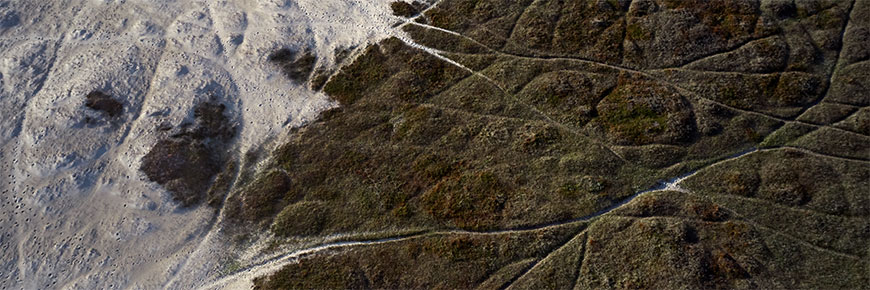 Aerial view of horse trails at sable island national park reserve