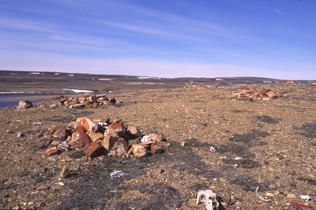 Meat caches at the Nasogaluak Archaeological Site
