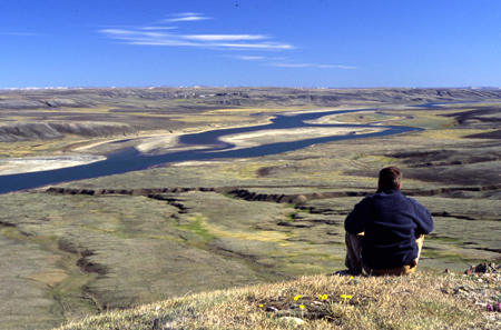 Overlooking the Thomsen River