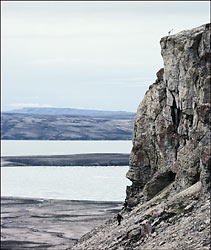 Falaises près du détroit M'Clure © Parcs Canada