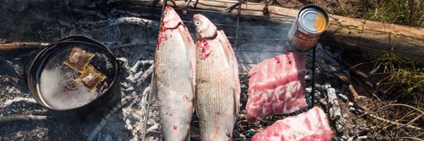 Fish being cooked on an open fire.