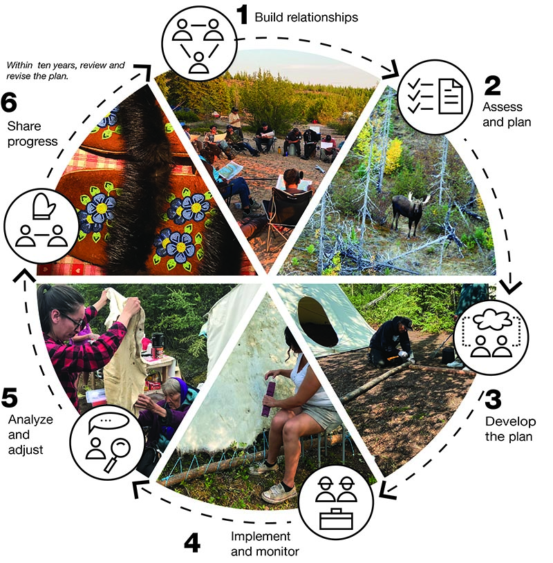 Figure 3 - Hide tanning as management planning, text description follows